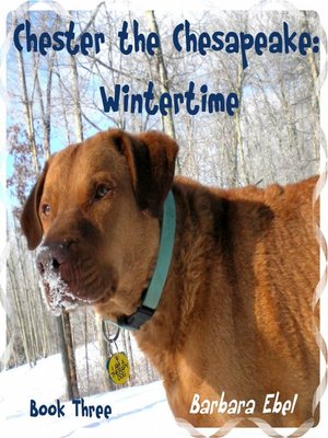 cover image of Chester the Chesapeake: Wintertime